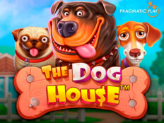 Red dog casino. Turboslot güncel giriş.60